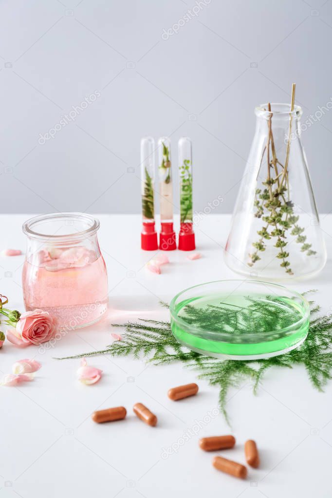 Glassware with ingredients for making plant based pills on white table