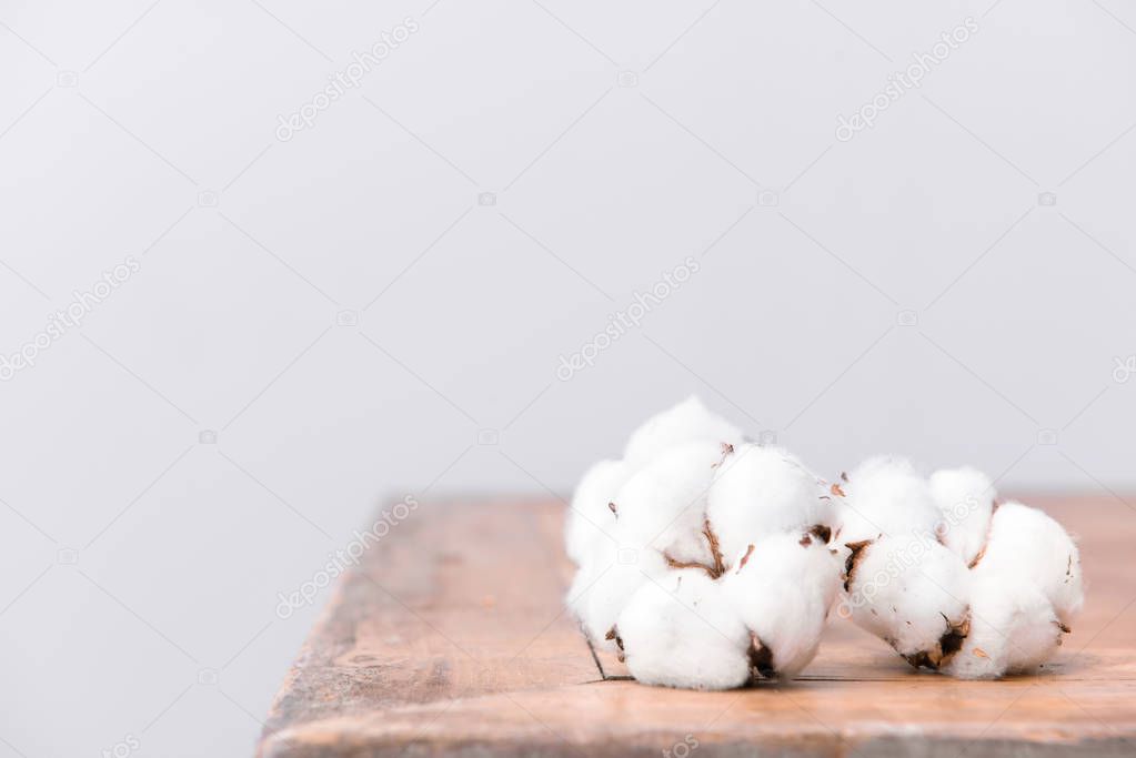 Cotton flowers on table against light background