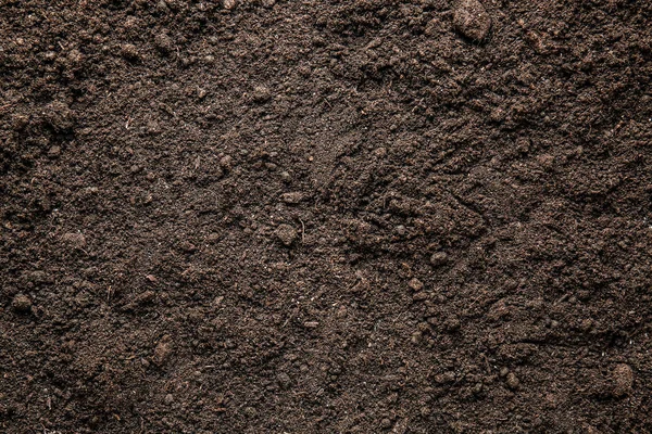 Heap of soil, closeup — Stock Photo, Image