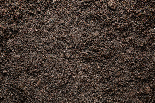 Heap of soil, closeup