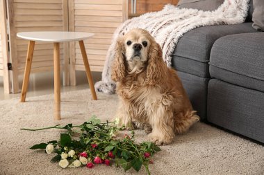 Naughty dog and dropped vase with flowers on carpet clipart