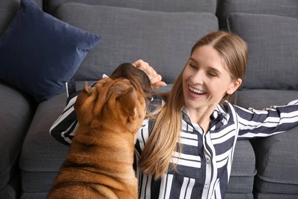 Cão engraçado bonito com proprietário em casa — Fotografia de Stock