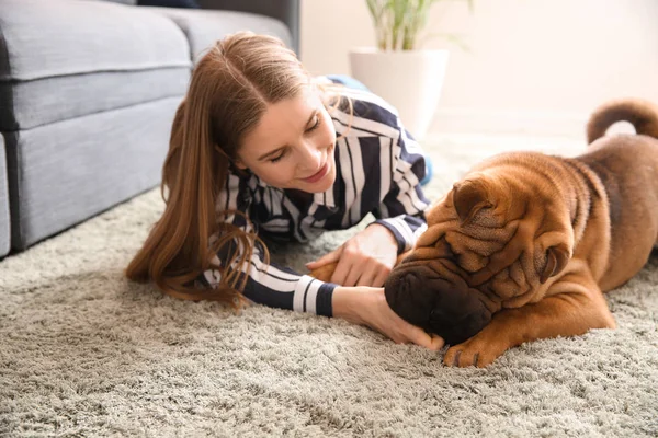 Cute funny dog with owner at home — Stock Photo, Image