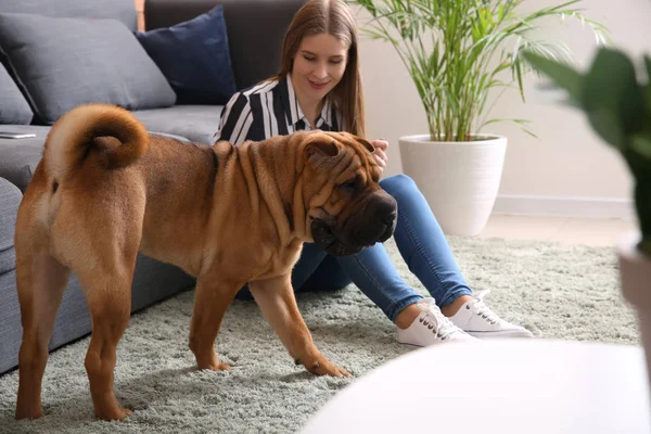 Carino divertente cane con proprietario a casa — Foto Stock