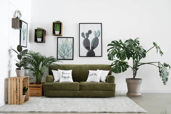 Interior ruangan modern dengan sofa nyaman dan tanaman rumah tangga — Stok Foto