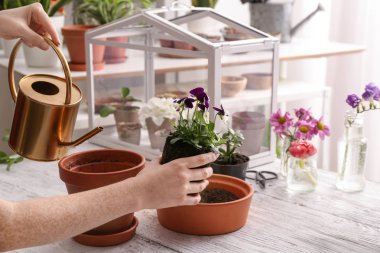 Çiçekler tencere masada belirleyen kadın