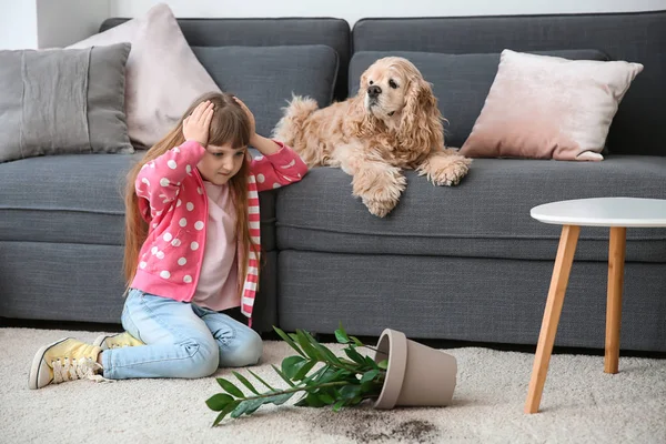 Cute little girl with dog and dropped houseplant on carpet — Stock Photo, Image