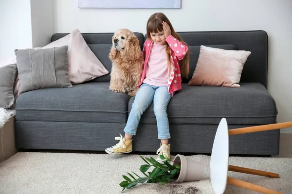 Carino bambina con cane e caduto pianta d'appartamento su tappeto — Foto Stock