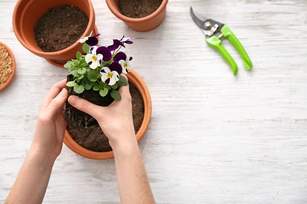 Mujer poniendo flores en macetas en la mesa — Foto de Stock