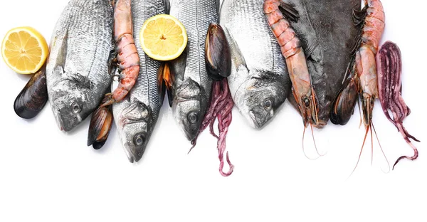 Fresh seafood on white background — Stock Photo, Image