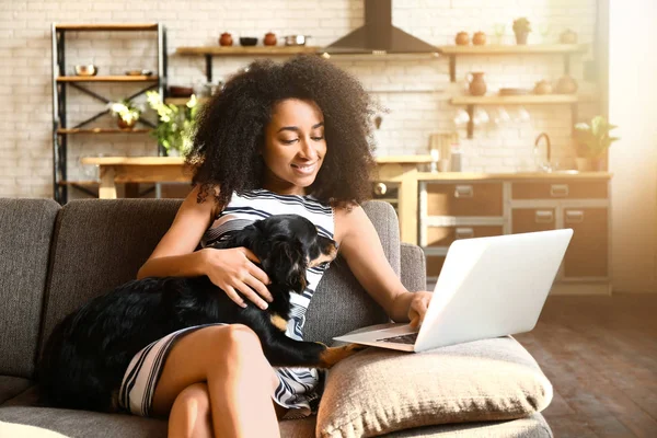 Beautiful African-American woman with cute dog working on laptop at home — Stock Photo, Image