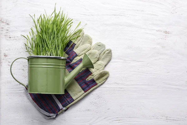 Green grass with watering can and gloves on white table — Stock Photo, Image