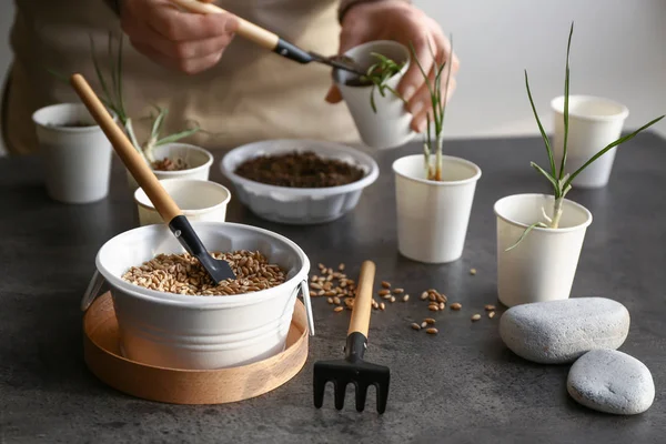 Woman transplanting fresh plants at table — Stock Photo, Image