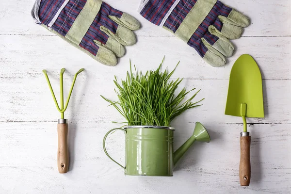 Hierba verde con regadera, herramientas y guantes sobre mesa blanca — Foto de Stock