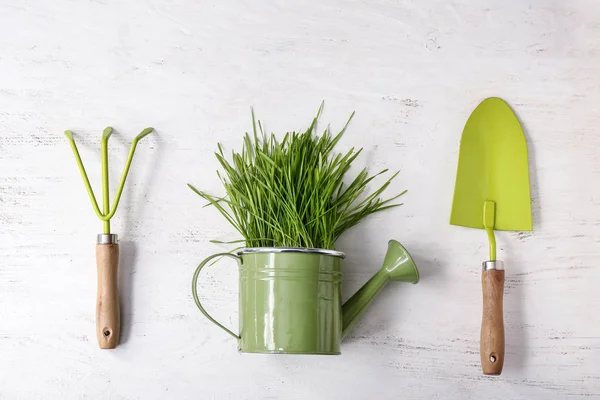 Grama verde com regador e ferramentas na mesa branca — Fotografia de Stock