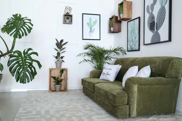 Interior of modern room with comfortable sofa and houseplants — Stock Photo, Image