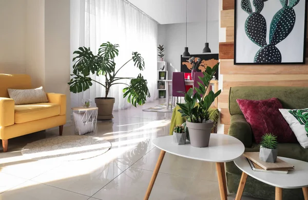 Stilvolles Interieur einer modernen Studiowohnung — Stockfoto