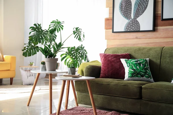 Sofá suave con plantas verdes en el interior del salón — Foto de Stock
