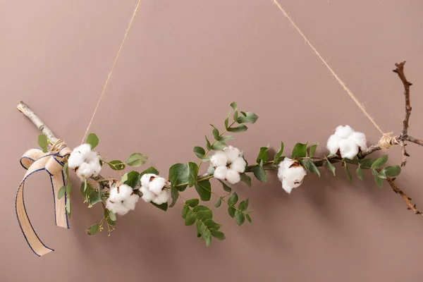 Floral composition with cotton flowers hanging on color wall — Stock Photo, Image