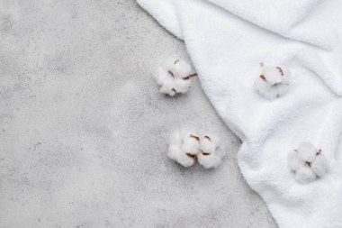 Gri arka planda yumuşak havluyla pamuklu çiçekler