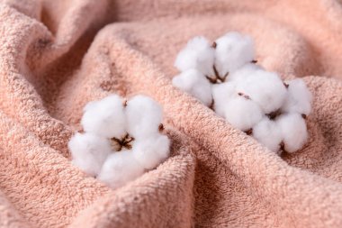 Yumuşak havluyla pamuklu çiçekler