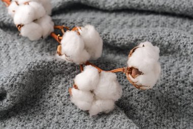 Örme ekose üzerinde pamuk çiçekler