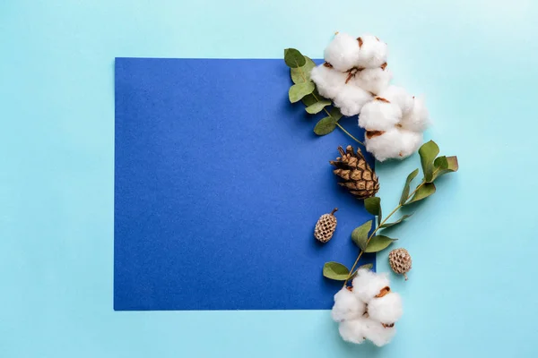 Renkli arka planda kağıt levha ile pamuk çiçekler — Stok fotoğraf