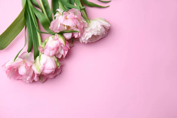 Bukiet pięknych tulipanów na tle koloru — Zdjęcie stockowe