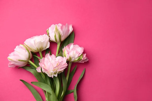 Csokor gyönyörű tulipán a színes háttér — Stock Fotó