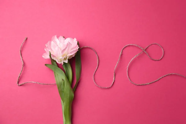 Beautiful tulip on color background — Stock Photo, Image