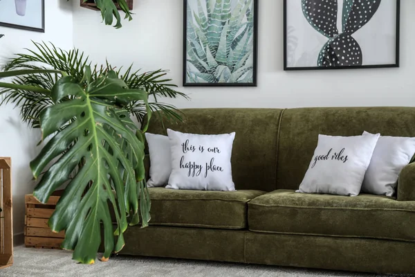 Belső tér modern szoba kényelmes kanapéval és szobanövények — Stock Fotó