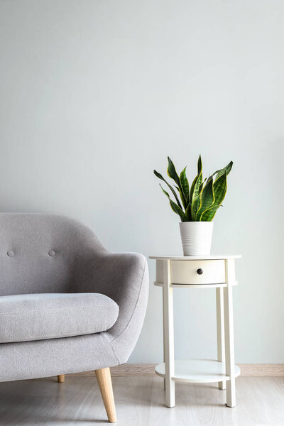 Comfortable armchair and table with houseplant near light wall