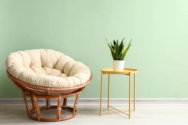 Lounge chair and table with plant near color wall in room — Stock Photo, Image