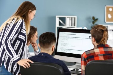 Takım çalışma office programcı