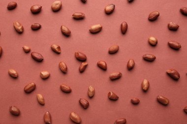 Renk arka plan üzerinde lezzetli fıstık