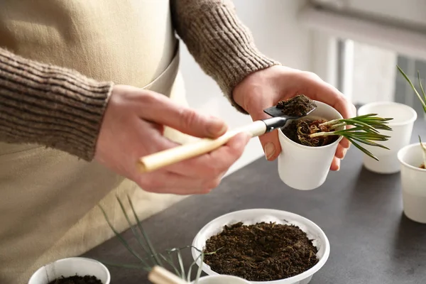 Woman transplanting fresh plants at table — Stock Photo, Image