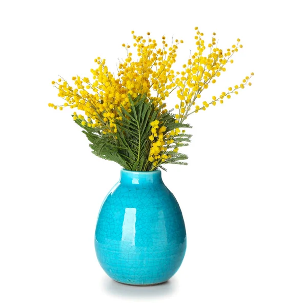 Vase with beautiful mimosa flowers on white background — Stock Photo, Image