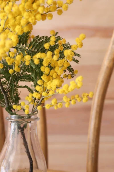 아름 다운 미모사 꽃, 근접 촬영 — 스톡 사진