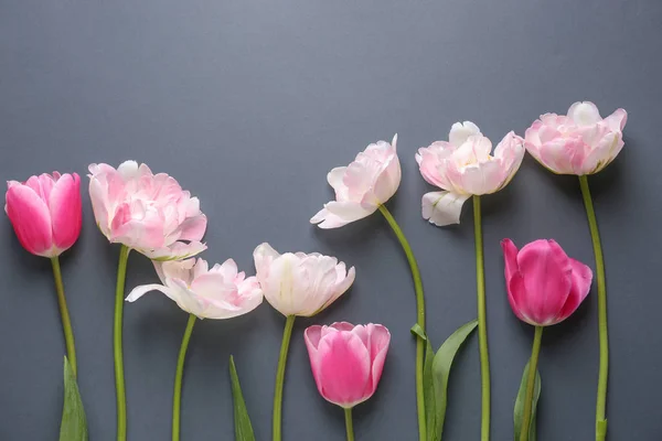 Schöne Tulpenblüten auf grauem Hintergrund — Stockfoto