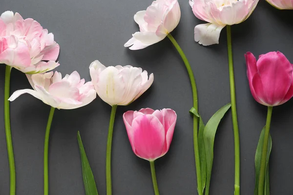 Bellissimi fiori di tulipano su sfondo grigio — Foto Stock