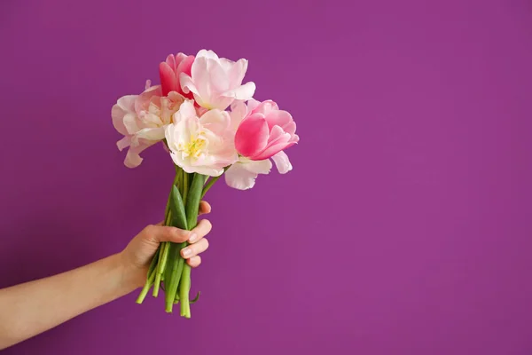 Female hand with beautiful tulips on color background — Stock Photo, Image
