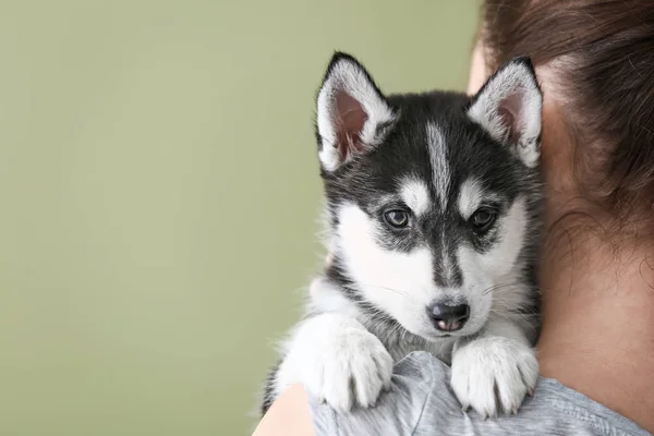 Woman with cute Husky puppy on color background — Stock Photo, Image