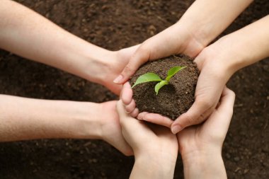 Bitkiler toprak belirleyen kadınlar