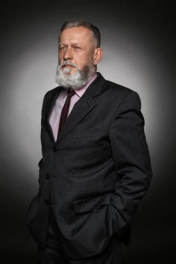 Yakışıklı olgun işadamı gri arka plan üzerinde