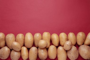 Renkli arka planda çiğ patates