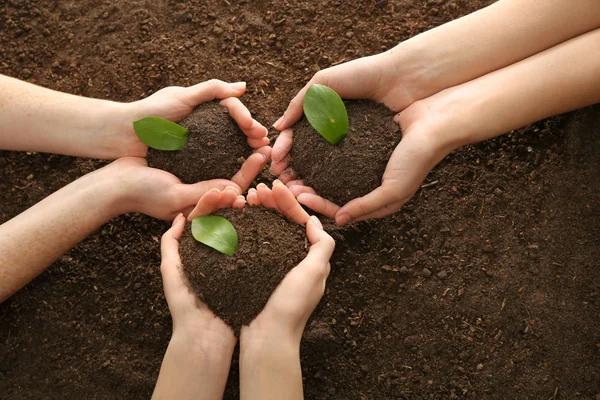 Women setting out plants in soil — Stock Photo, Image