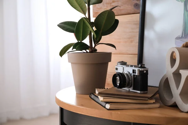 Photo camera, notebooks and houseplant on table in room