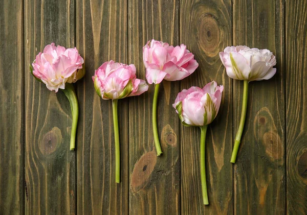 Bellissimi tulipani su sfondo di legno — Foto Stock