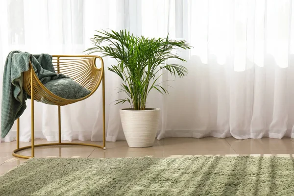 Grüne Palme mit Sessel am Fenster im Zimmer — Stockfoto