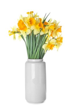 Beyaz arka planda güzel nergisli vazo